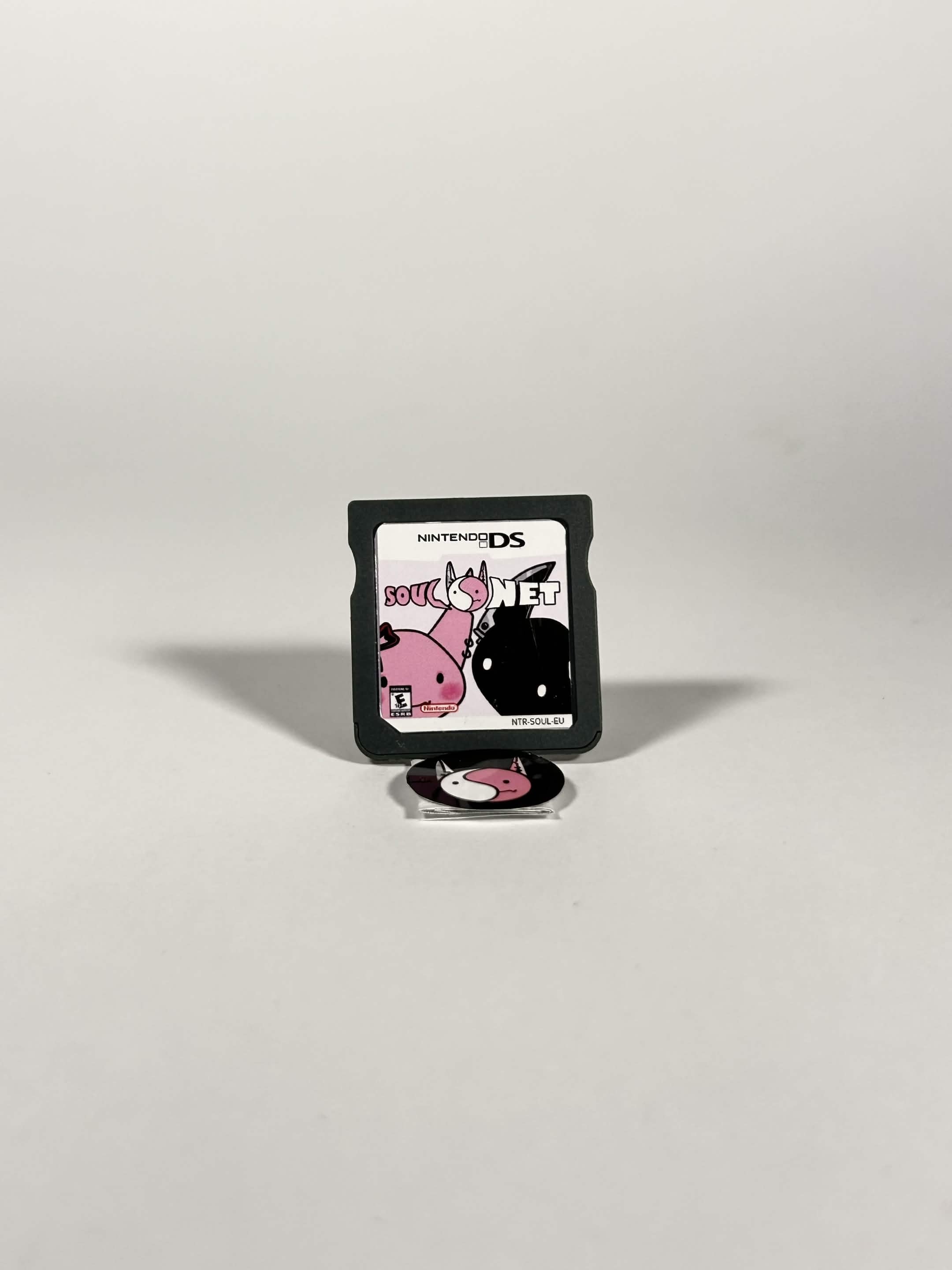 Handcrafted R4 Setup – DS Lite